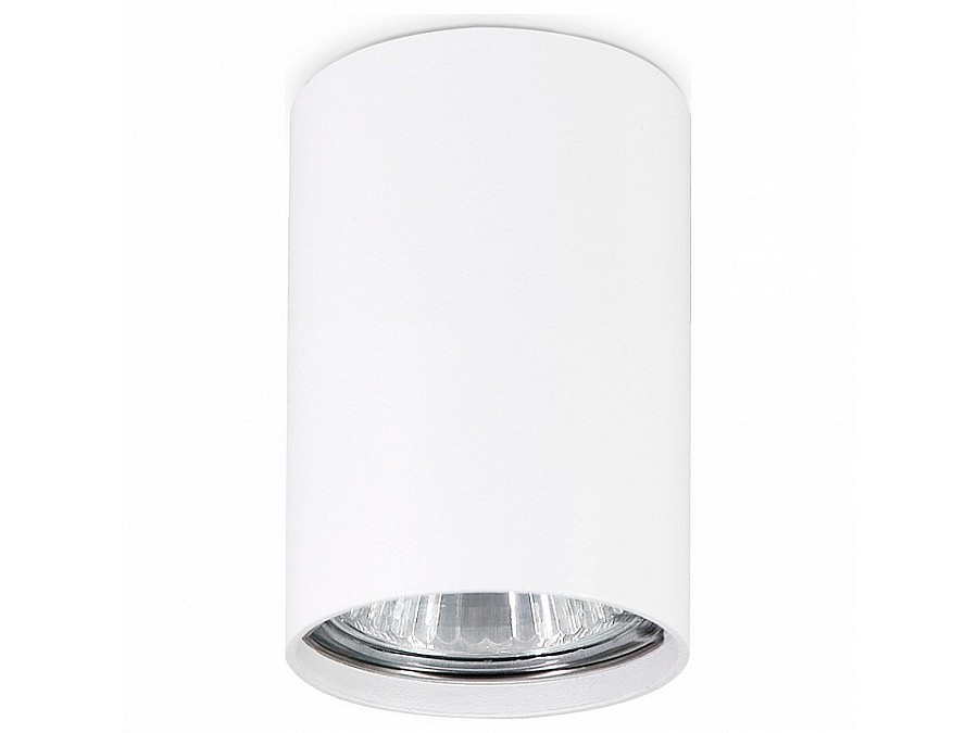 Накладной светильник Ambrella TN TN213101