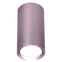 Накладной светильник Ambrella TN TN220