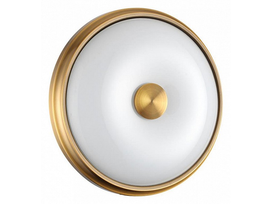 Накладной светильник Odeon Light Pelow 4956/2