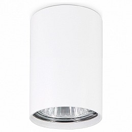 Накладной светильник Ambrella TN TN213101