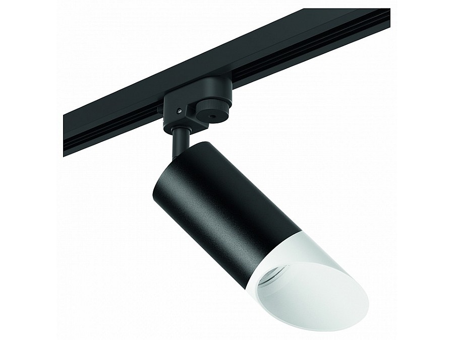 Светильник на штанге Lightstar Rullo R1T43736