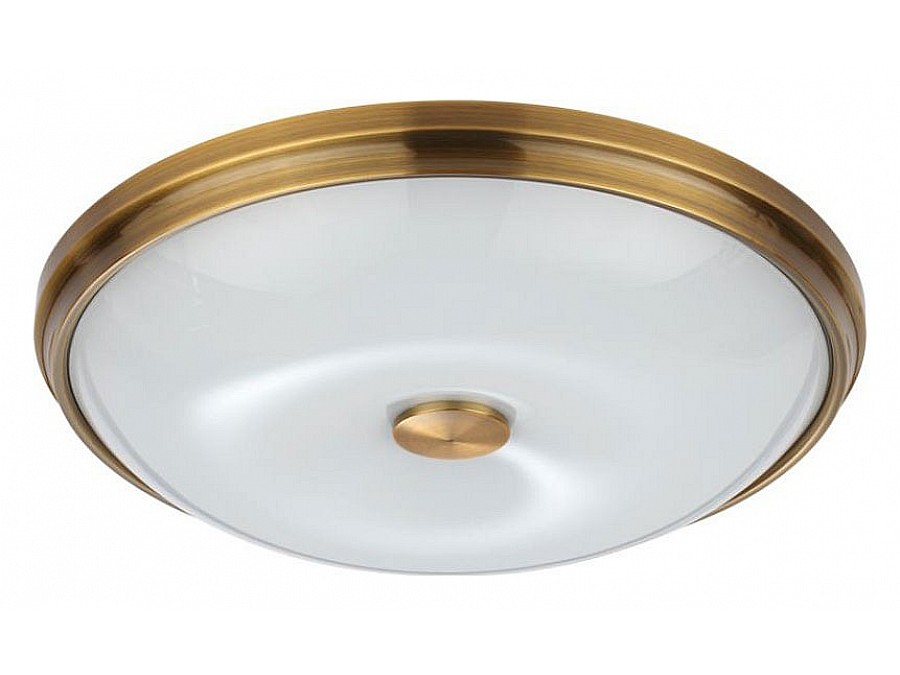Накладной светильник Odeon Light Pelow 4956/4