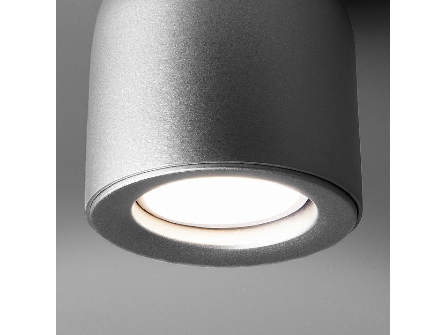 Накладной светильник Elektrostandard DLN116 a050674