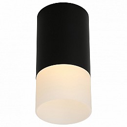 Накладной светильник Omnilux Lucido OML-100619-01