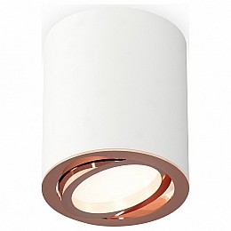 Накладной светильник Ambrella XS XS7421004