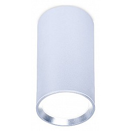 Накладной светильник Ambrella TN TN219