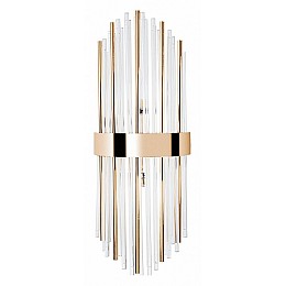 Накладной светильник Arte Lamp Acapulco A1007AP-2GO