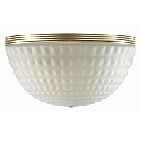 Накладной светильник Odeon Light Malaga 4936/1W