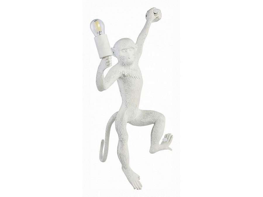 Накладной светильник EVOLUCE Tenato SLE115111-01