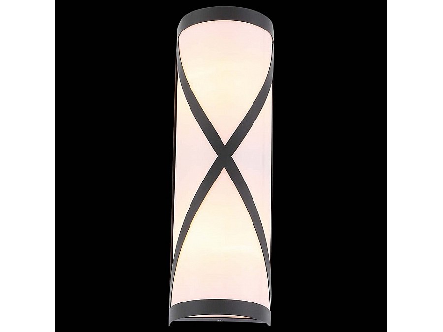 Накладной светильник ST-Luce Agio SL076.411.01