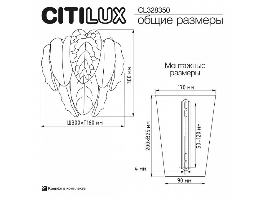Накладной светильник Citilux HASIENDA CL328350