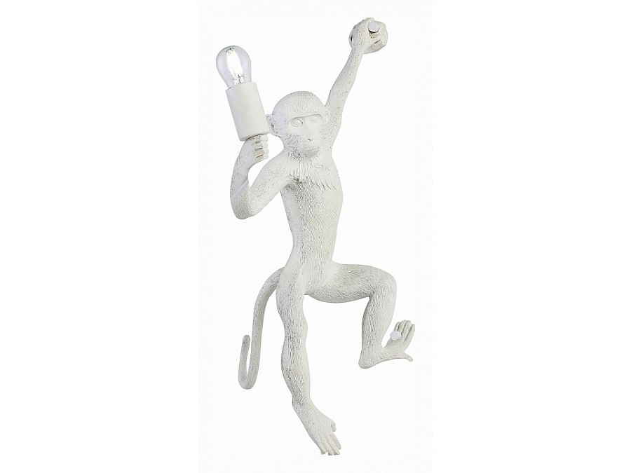 Накладной светильник EVOLUCE Tenato SLE115111-01