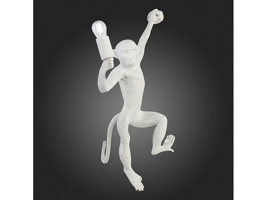 Накладной светильник EVOLUCE Tenato SLE115111-01