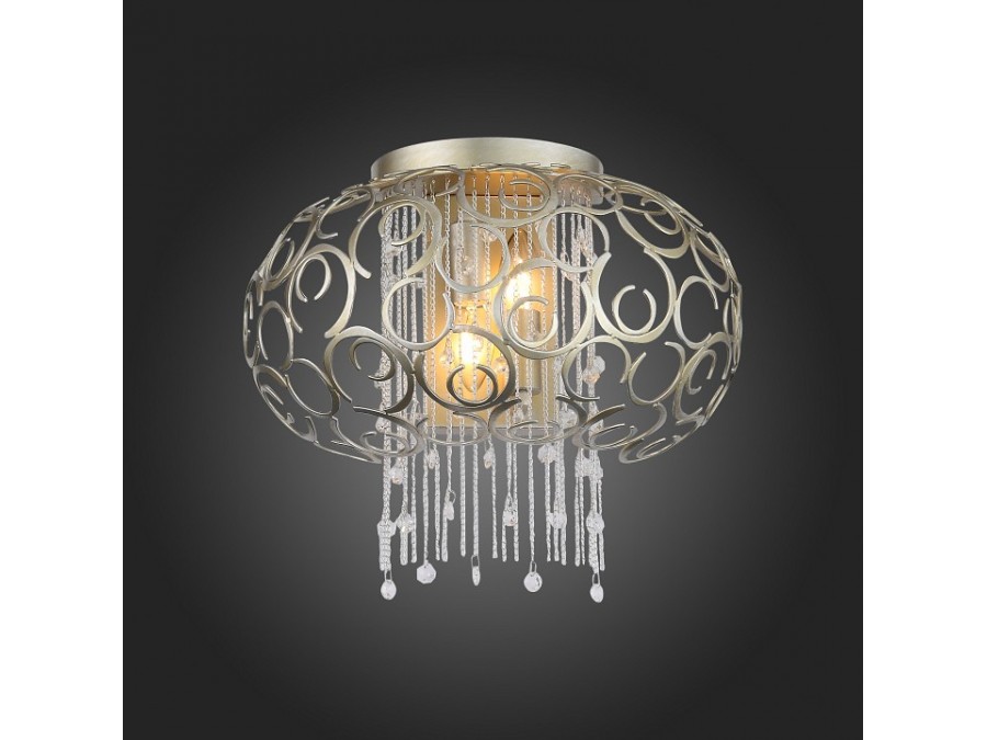 Накладной светильник ST-Luce Dolcima SL1101.201.02