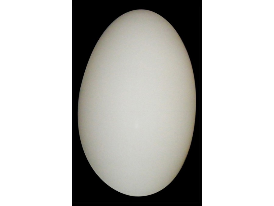 Накладной светильник Lightstar Sferetta 801600