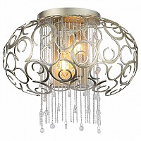 Накладной светильник ST-Luce Dolcima SL1101.201.02