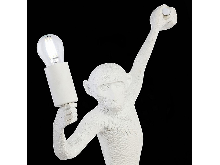 Накладной светильник EVOLUCE Tenato SLE115111-01