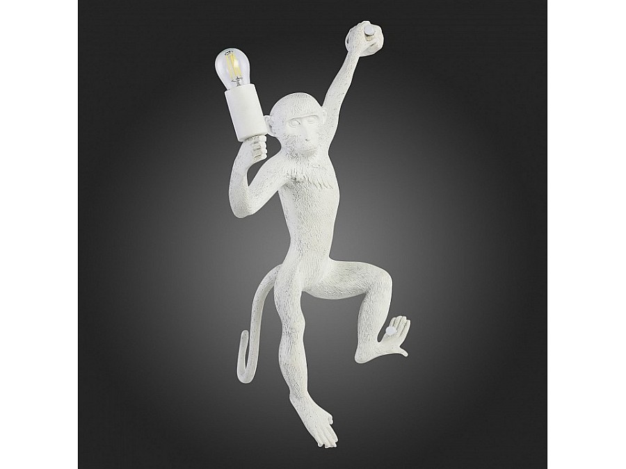 Накладной светильник EVOLUCE Tenato SLE115111-01