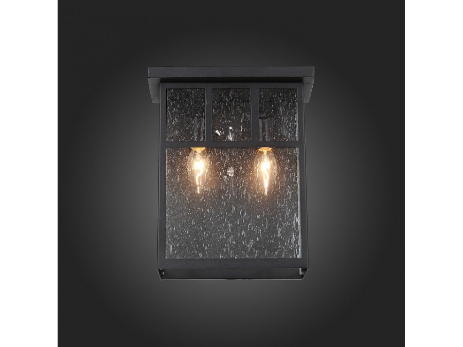 Накладной светильник ST-Luce Glazgo SL079.401.02