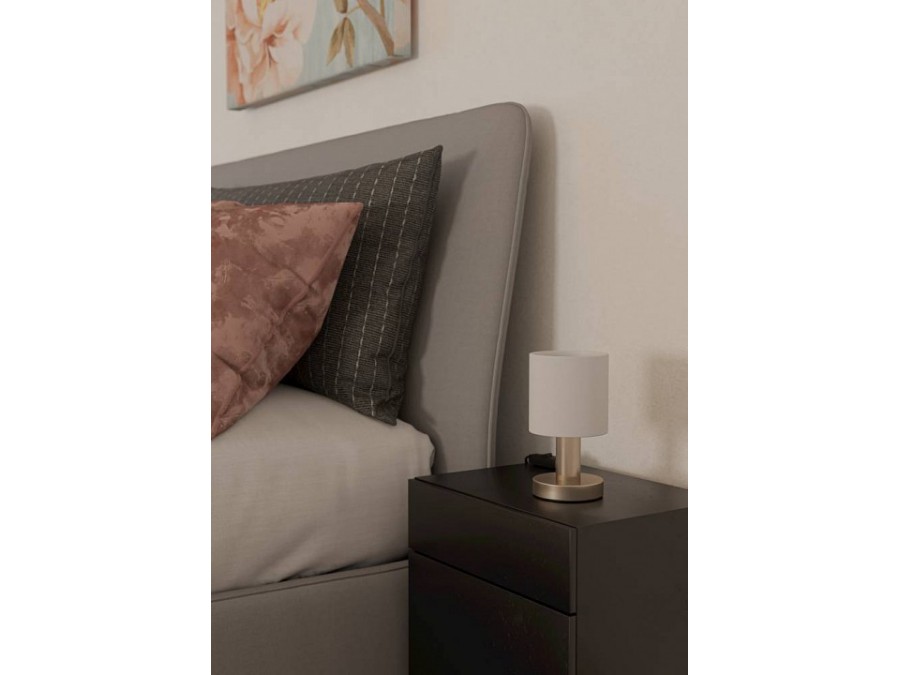 Настольная лампа декоративная Eglo MONTETTO 31841