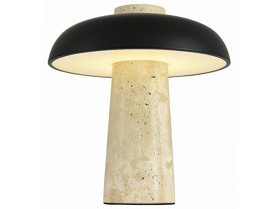 Настольная лампа декоративная ST-Luce Earthy SL1194.424.01