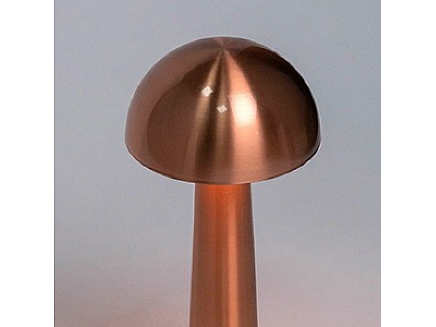 Настольная лампа декоративная Escada Evo 10257/L LED