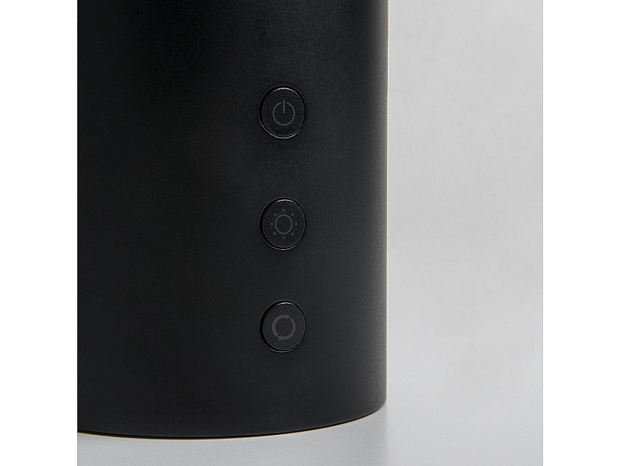 Настольная лампа декоративная Eurosvet Premier 80425/1 черный