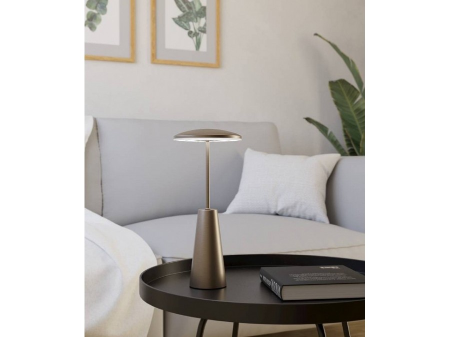 Настольная лампа декоративная Eglo PICCOLA 900924