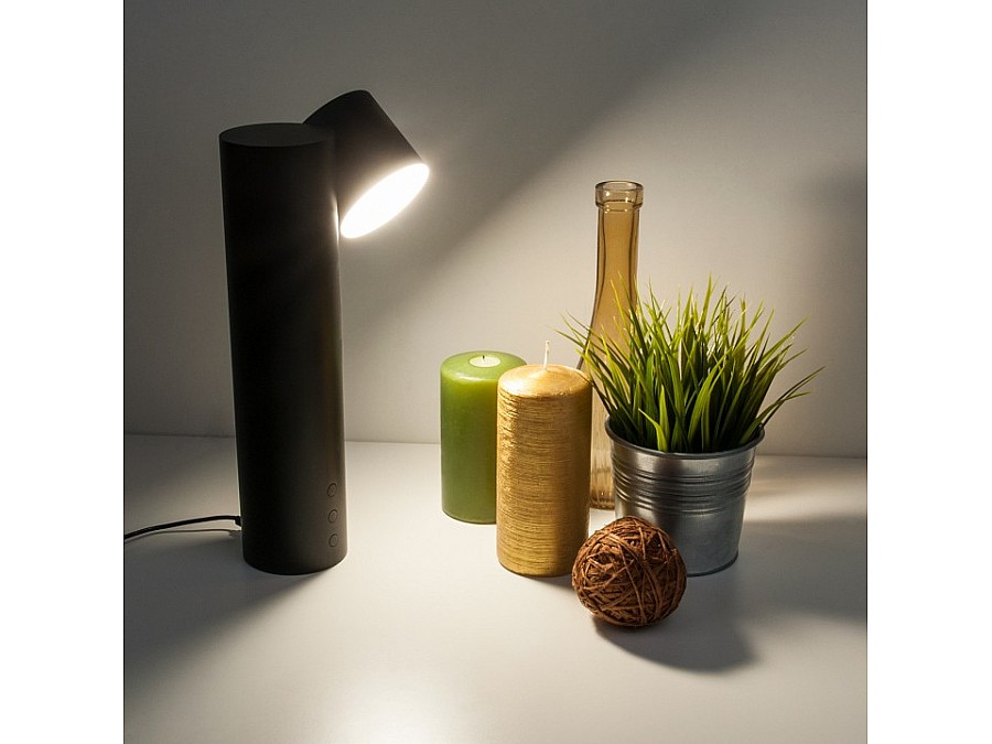 Настольная лампа декоративная Eurosvet Premier 80425/1 черный