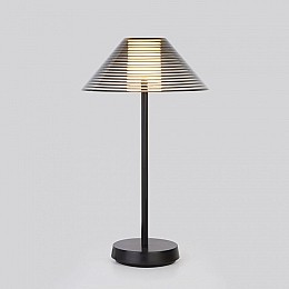 Настольная лампа декоративная Elektrostandard Mistery TL70210