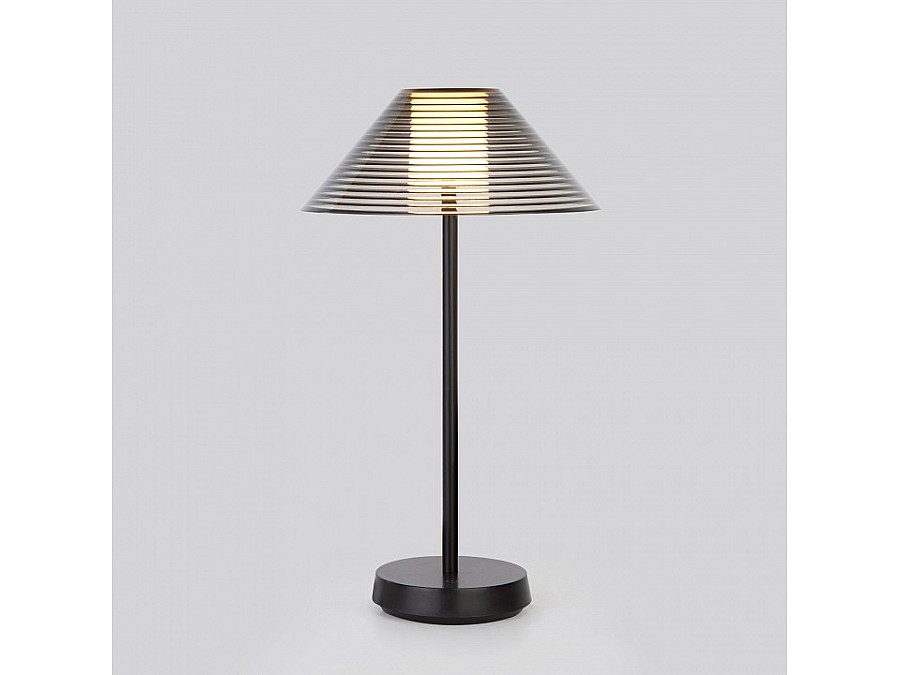 Настольная лампа декоративная Elektrostandard Mistery TL70210