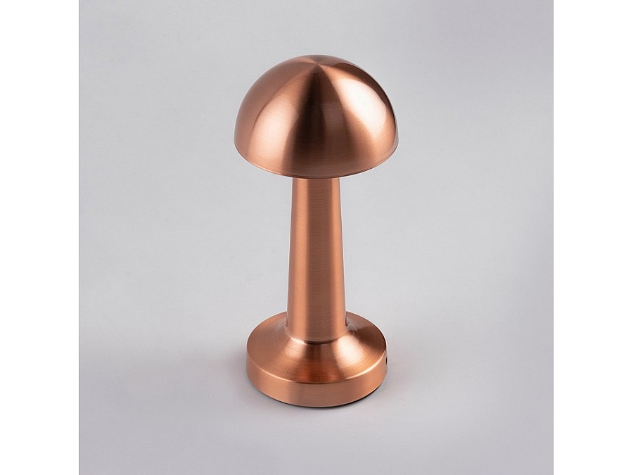 Настольная лампа декоративная Escada Evo 10257/L LED