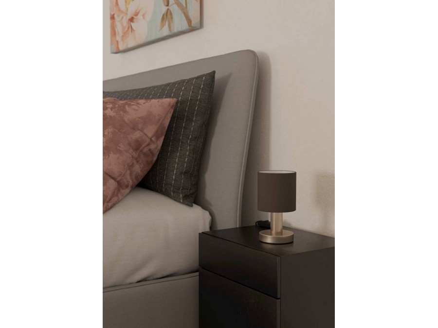 Настольная лампа декоративная Eglo MONTETTO 31842