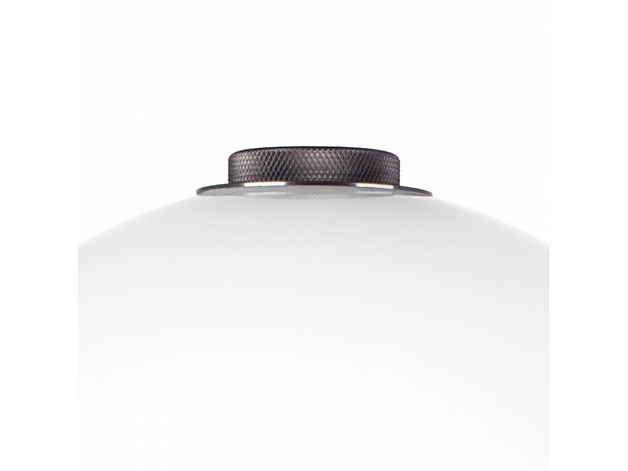 Настольная лампа декоративная Lightstar Colore 805916