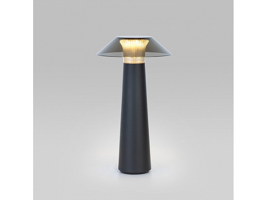 Настольная лампа декоративная Elektrostandard Future TL70200