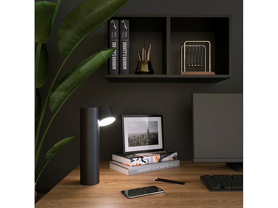 Настольная лампа декоративная Eurosvet Premier 80425/1 черный