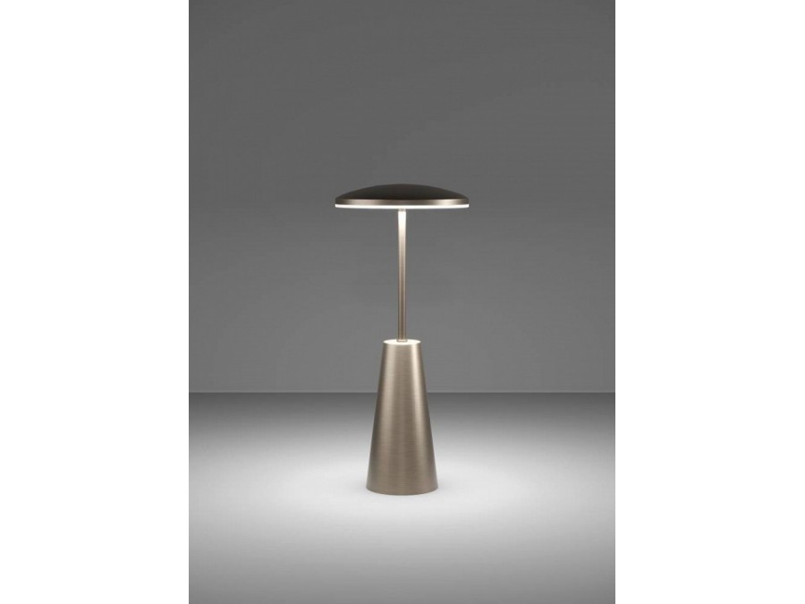 Настольная лампа декоративная Eglo PICCOLA 900924