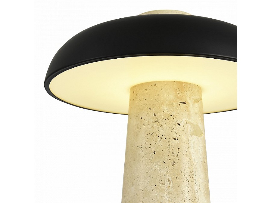 Настольная лампа декоративная ST-Luce Earthy SL1194.424.01