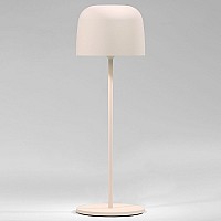 Настольная лампа декоративная Elektrostandard Bitty a069003