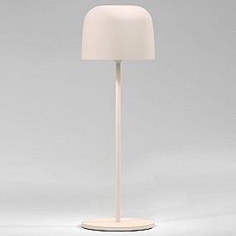 Настольная лампа декоративная Elektrostandard Bitty a069003