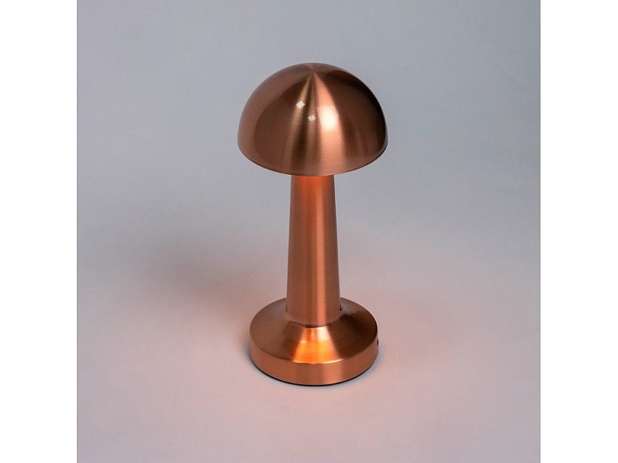 Настольная лампа декоративная Escada Evo 10257/L LED