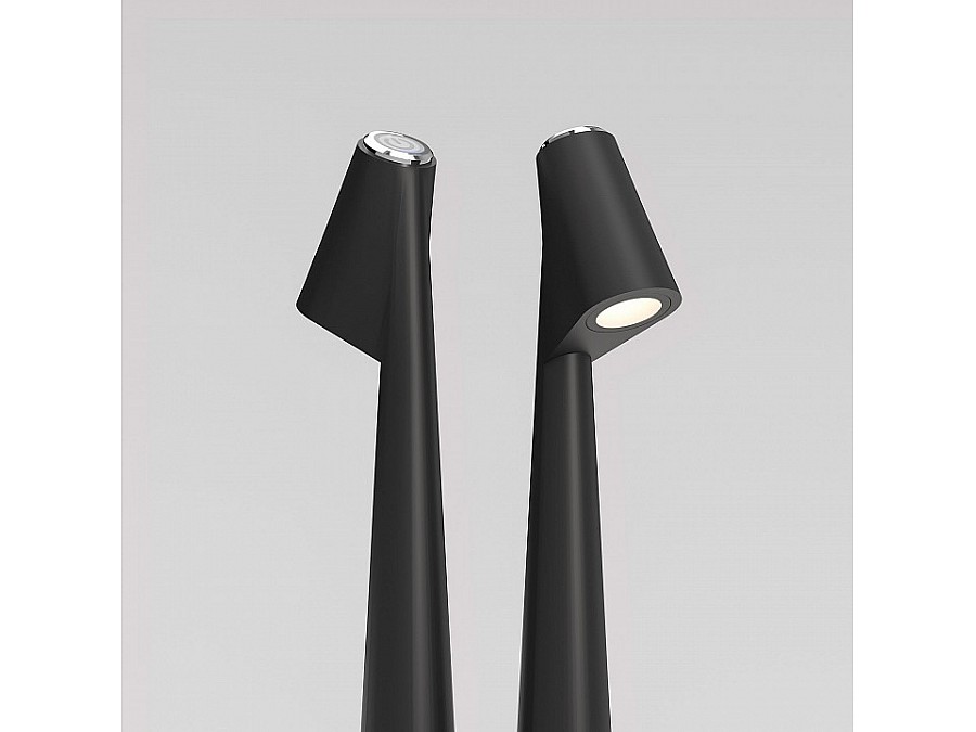 Настольная лампа декоративная Elektrostandard Elite Elite черный (TL70250)