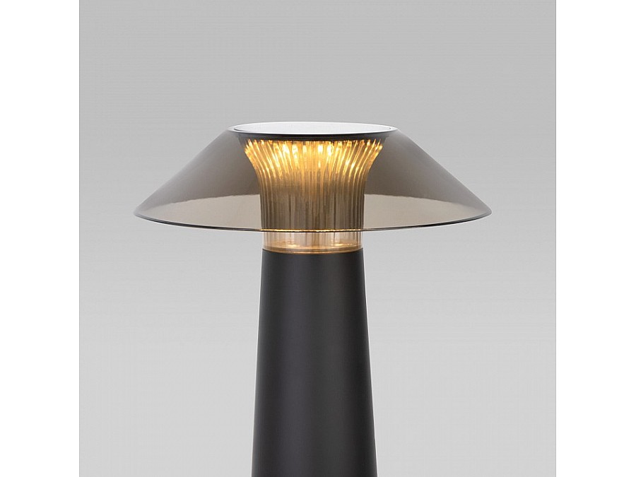 Настольная лампа декоративная Elektrostandard Future TL70200