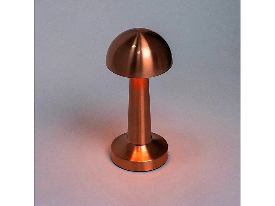 Настольная лампа декоративная Escada Evo 10257/L LED