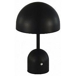 Настольная лампа декоративная EVOLUCE Eclat SLE1806-404-01