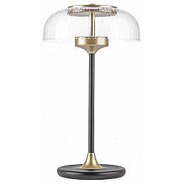 Настольная лампа декоративная Lightstar Acrile 738973