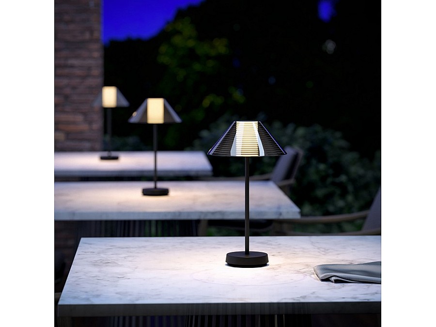 Настольная лампа декоративная Elektrostandard Mistery TL70210