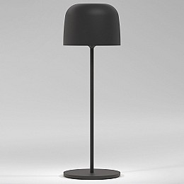 Настольная лампа декоративная Elektrostandard Bitty a069002