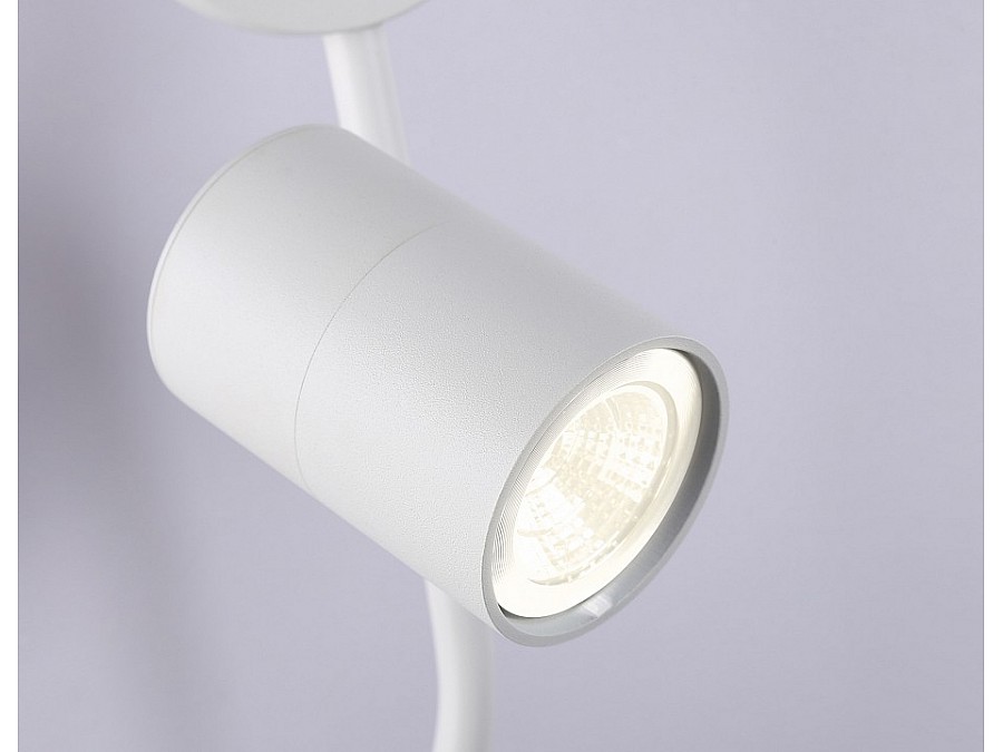 Бра с подсветкой Ambrella Light FL FL66388