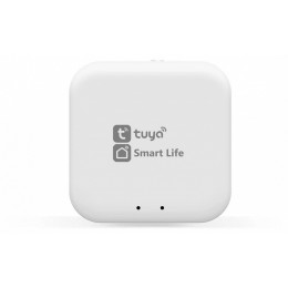 Конвертер Wi-Fi для смартфонов и планшетов Ambrella Light GL GL1920